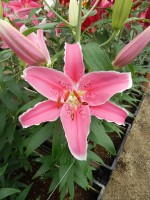 [5352 Mumbai DJ No02.JPG]